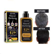 Load image into Gallery viewer, Eelhoe Black Dye Shampoo