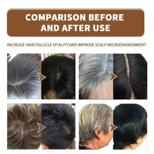 Load image into Gallery viewer, Gray Hair Treatment Serum