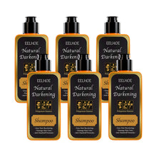 Load image into Gallery viewer, Eelhoe Black Dye Shampoo
