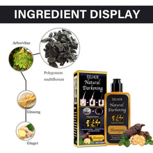 Load image into Gallery viewer, Eelhoe Black Dye Shampoo
