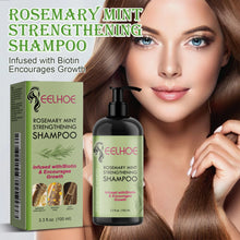 Load image into Gallery viewer, Eelhoe Rosemary Hair Care Series
