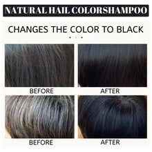 Load image into Gallery viewer, Eelhoe Black Dye Shampoo

